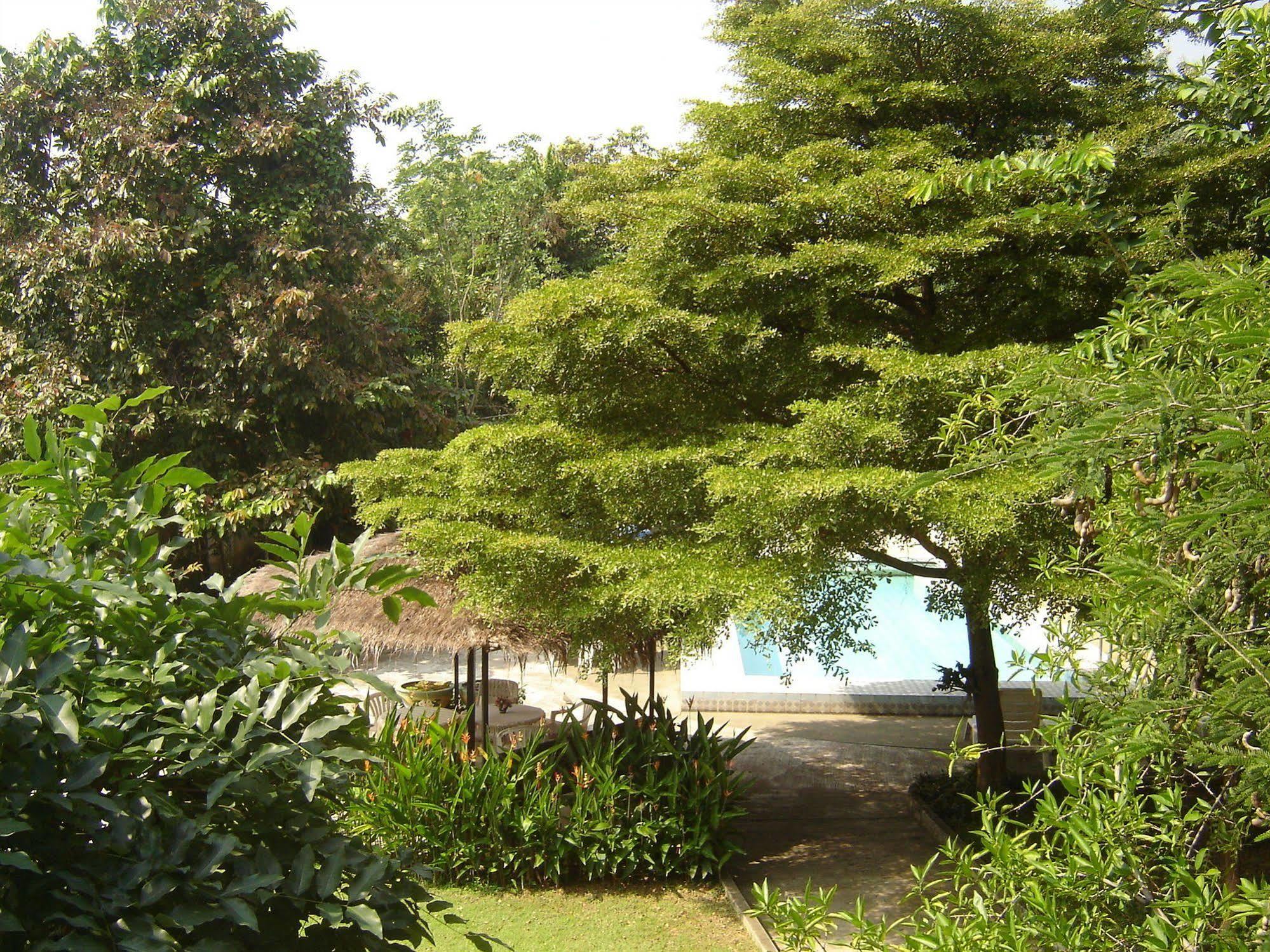 Golden Cupids Hotel Chiang Mai Buitenkant foto